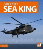 _sea-king-medium.gif
